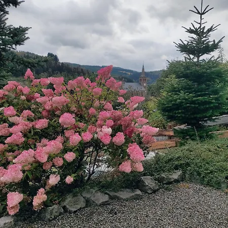 Vakantiehuis Jagdhaus Holtebock *