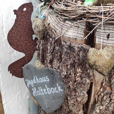 Vakantiehuis Jagdhaus Holtebock *