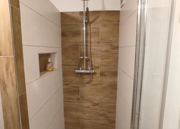 Jagdhaus Holtebock Tatil Evi Winterberg