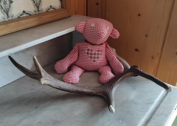 Jagdhaus Holtebock Tatil Evi