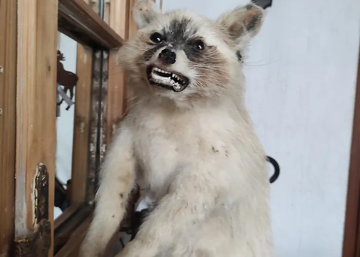 Vakantiehuis Jagdhaus Holtebock Winterberg